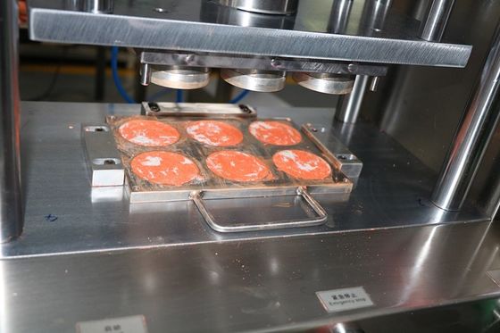 6 agujeros Cnc moldes de aluminio para la forma de polvo húmedo 1 año de garantía
